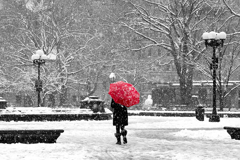 MB89JF Woman with red umbrella walking through black and white landscape during noreaster snow storm in Washington Square Park, New York City